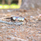 Fox Eyewear "Leopard"