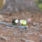 Fox Eyewear "Cheetah"