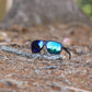 Fox Eyewear "Iridescent"
