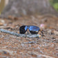 Fox Eyewear "Checkers"