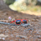 Fox Eyewear "Inferno"