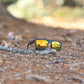 Fox Eyewear "Abstract"